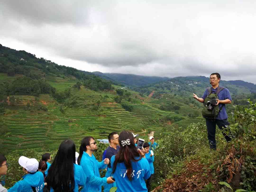 探寻云南茶山之美：一难忘的普洱之旅