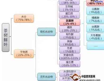 普洱茶价格差异：品质、制作工艺、年份和市场因素的影响