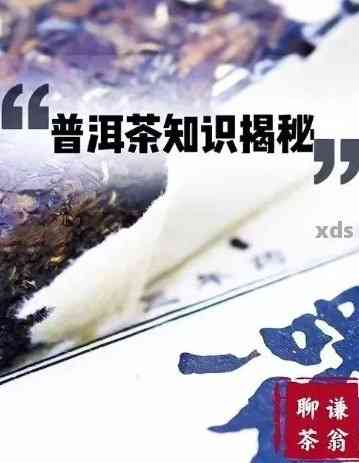 普洱茶讲堂：老茶品鉴与鉴技巧