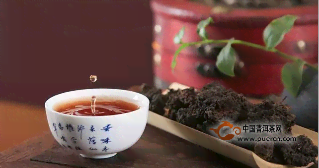 普洱茶讲堂：老茶品鉴与鉴技巧