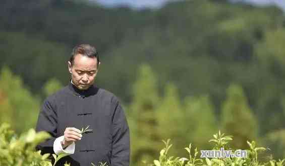 普洱茶之道：一位杰出的导师与他的茶艺传承