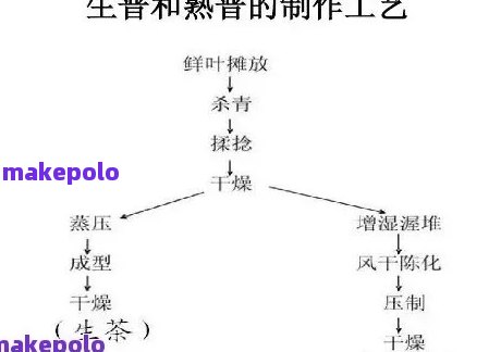 普洱茶萃取方法有几种类型