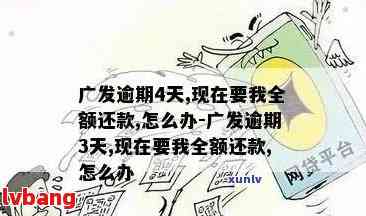 广发逾期减免方案优政策有哪些：项目详细解答与申请方式