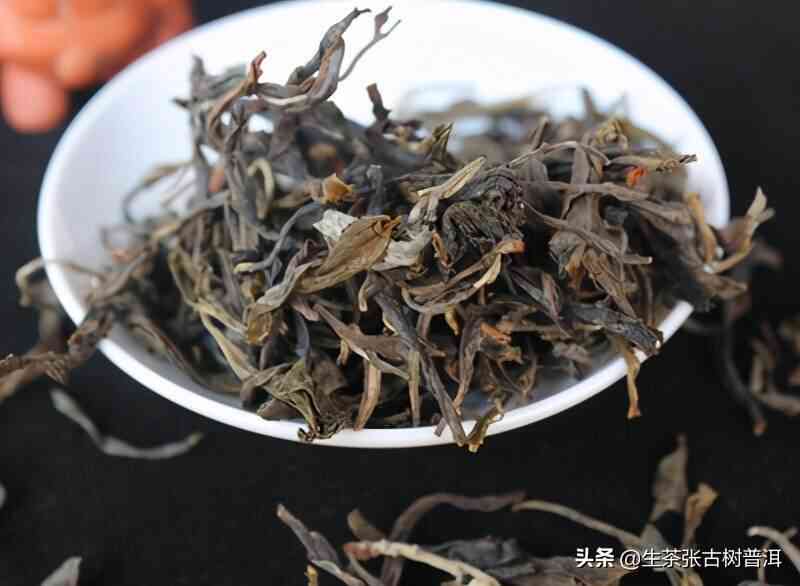 普洱茶天下：探寻云南茶都的各类茶叶品种