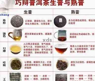 全面解析：十大普洱茶及其代表性品种，助您轻松选购！