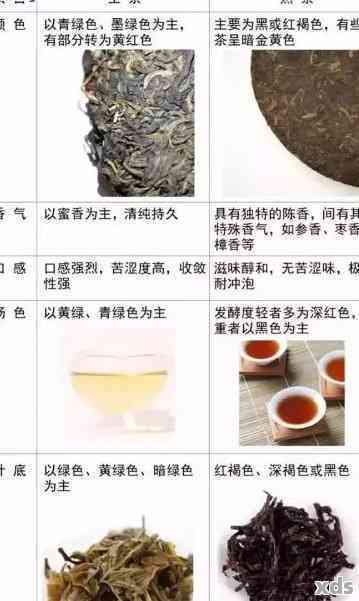 十大普洱茶有哪些品种名字？请按顺序排列。