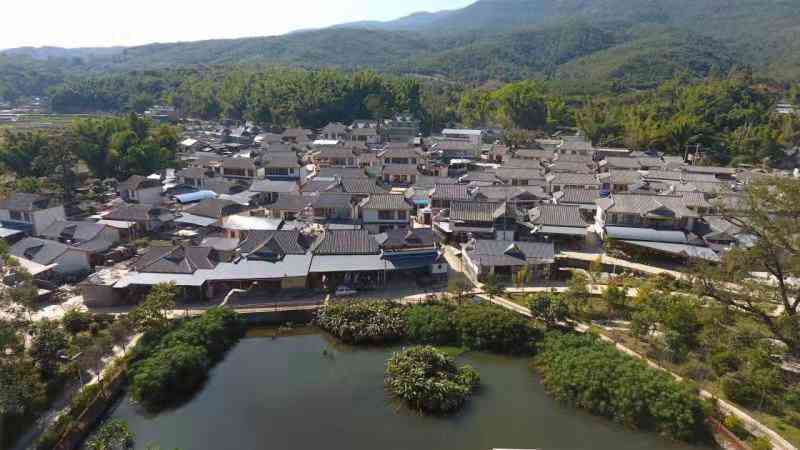 探究芒肺普洱茶的历地位与市场排名：一款不容忽视的古树茶品