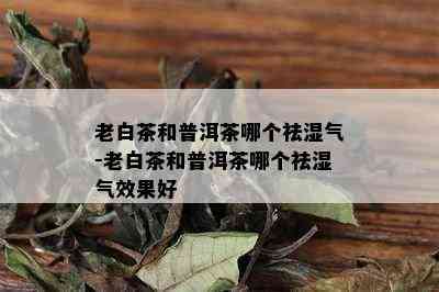 祛湿气的普洱茶：哪种茶叶最有效？