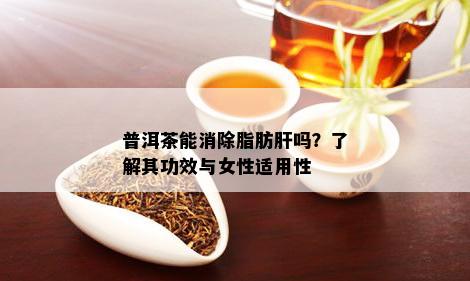 新 纯正普洱茶助力驱散湿气的健之道