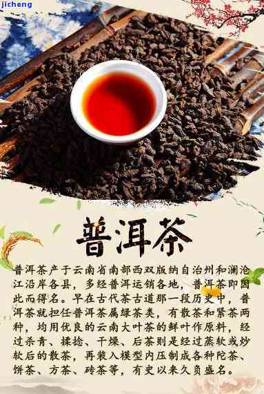 云南特色普洱茶：木子与木止的传奇故事