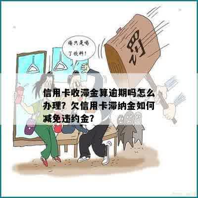 信用卡逾期滞纳金退回怎么办？如何处理信用卡逾期滞纳金问题？