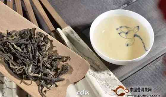 普洱茶中的生活智慧：俗语与普洱茶文化深度解读