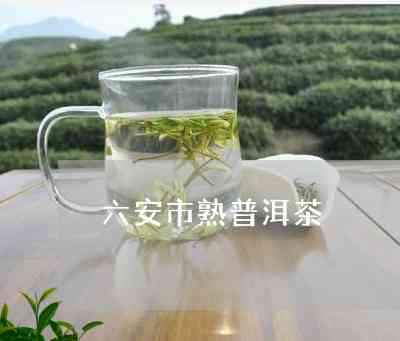 六安普洱茶