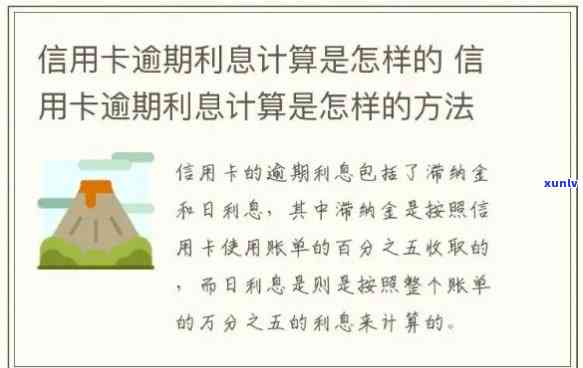 信用卡利息计算及逾期处理全解：如何计算利息、逾期后果及解决方法一文看懂