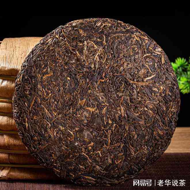 普洱茶制作：青毛茶与青茶的异同比较