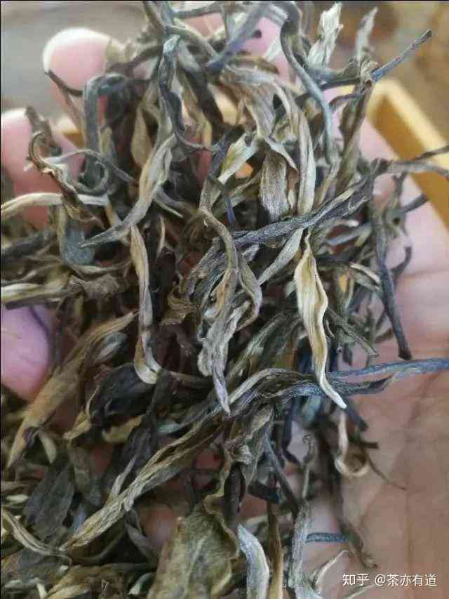 普洱茶青毛