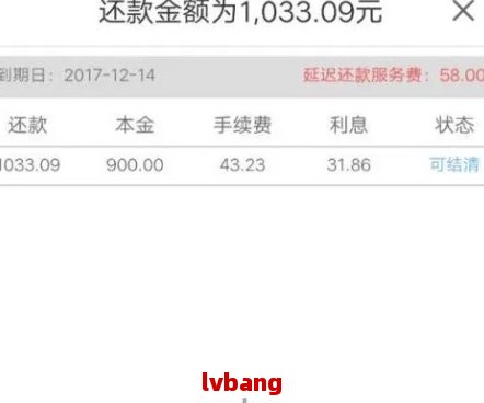 网贷每月还款4万利息多少：解答你的疑惑