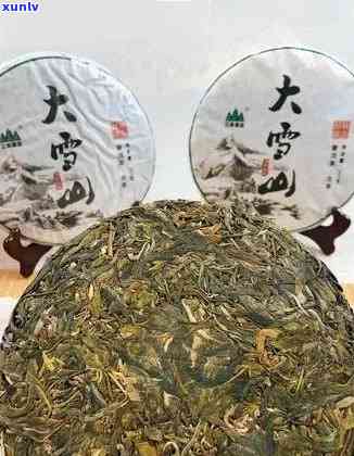 新大雪山普洱茶：独特品种、香气丰富与越品质的综合体现