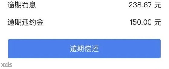 扣款成功后，逾期状态仍持续显示的解决方法