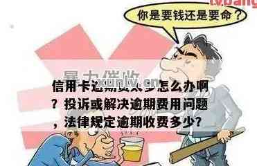 逾期扣款顺序详解：如何避免账户资金损失及解决逾期问题