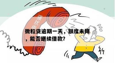 微粒贷逾期一天仍可借款吗？逾期后额度未降