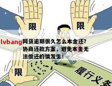 网贷逾期还款策略：仅还本金是否可行？