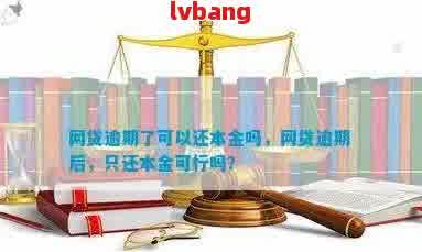 网贷逾期还款策略：仅还本金是否可行？