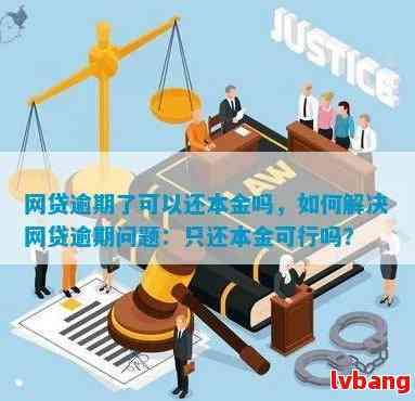 网贷逾期还款策略：仅还本金是否可行？