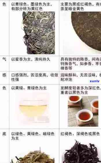 '普洱茶块状茶价格表大全，泡法及生熟区别解析'