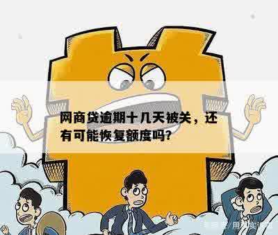 网商贷逾期额度消失了怎么恢复