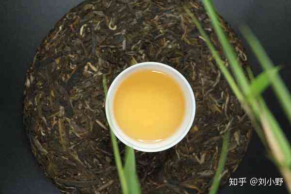 探索普洱茶生津之气的全面体验：从味道到饮用技巧