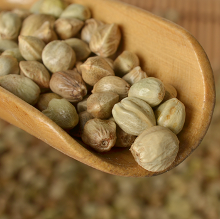 芝麻茶的功效与作用：麻籽茶、芝麻及白芝麻的综合效用与健益处