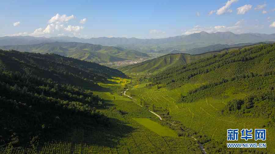 大通东峡镇：自然与历史文化的交融之地