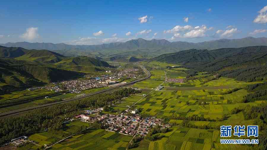 大通东峡镇：自然与历史文化的交融之地