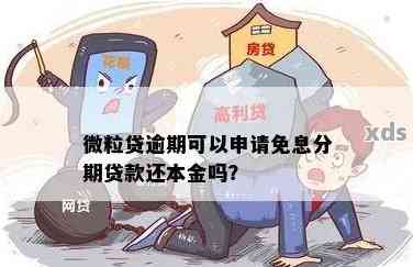 微粒贷逾期还款：是否有可能享受免息待遇？解答你的疑惑