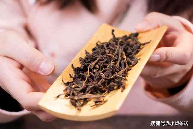 普洱茶里面没有绿茶好不好