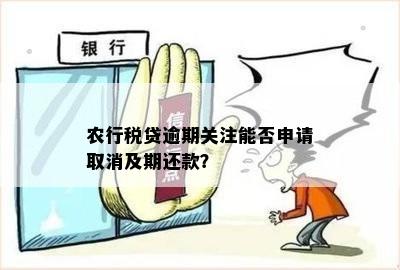 农行税贷到期未还款的后果及解决方法：如何应对贷款逾期？