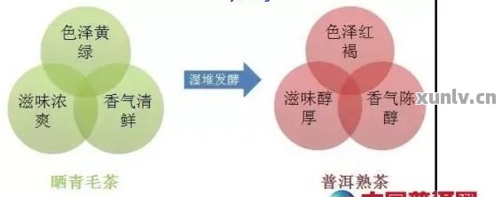 全面解析紫芽普洱茶后期转化率：影响因素、时间以及口感变化