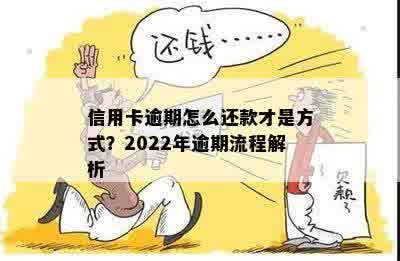 2022年信用卡逾期还款全攻略：影响、解决办法和操作步骤详解