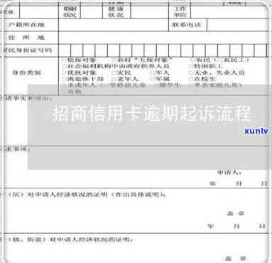 招商信用卡逾期起诉状撰写全面指南：详细步骤、常见问题及应对策略