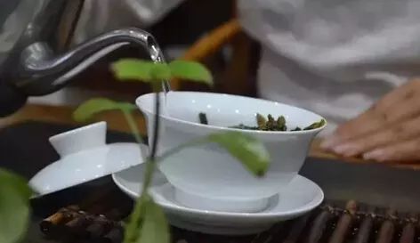 详细步骤：如何使用正确的方法冲泡普洱茶茶饼，让茶味更浓