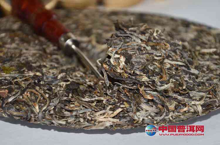 普洱散茶会转化吗？为什么普洱散茶能转化吗？