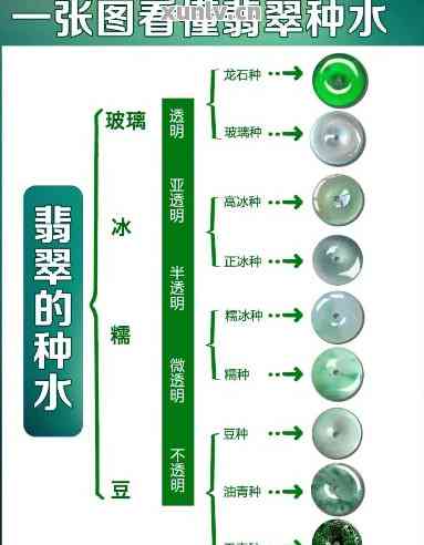 新高冰晴水翡翠的品质、价值及市场定位分析