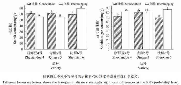 新和田玉价格走势分析：1克玉石的当前市场价值是多少？