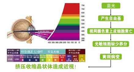 翡翠和危料检测数据：如何区分、密度对比与选购建议