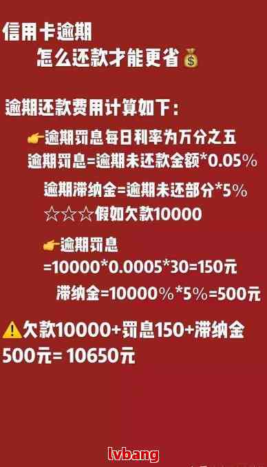 信用卡逾期利息大揭秘：如何有效应对逾期还款问题及降低利息负担