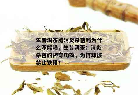 普洱茶的消炎功效及其适用人群：喝普洱茶真的能消炎吗？