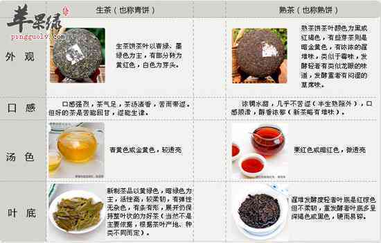 普洱茶种类大全：了解各种普洱茶的特点、功效与饮用方法