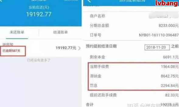 '借呗逾期了怎么看全部还款记录：解答你的疑惑'