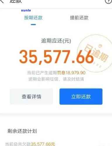 '借呗逾期了怎么看全部还款记录：解答你的疑惑'